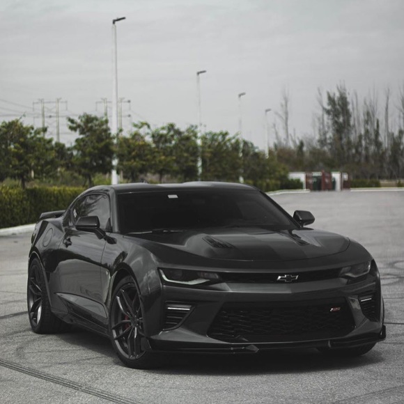 Meet your Posher, Samuel - Picture 1 of 1